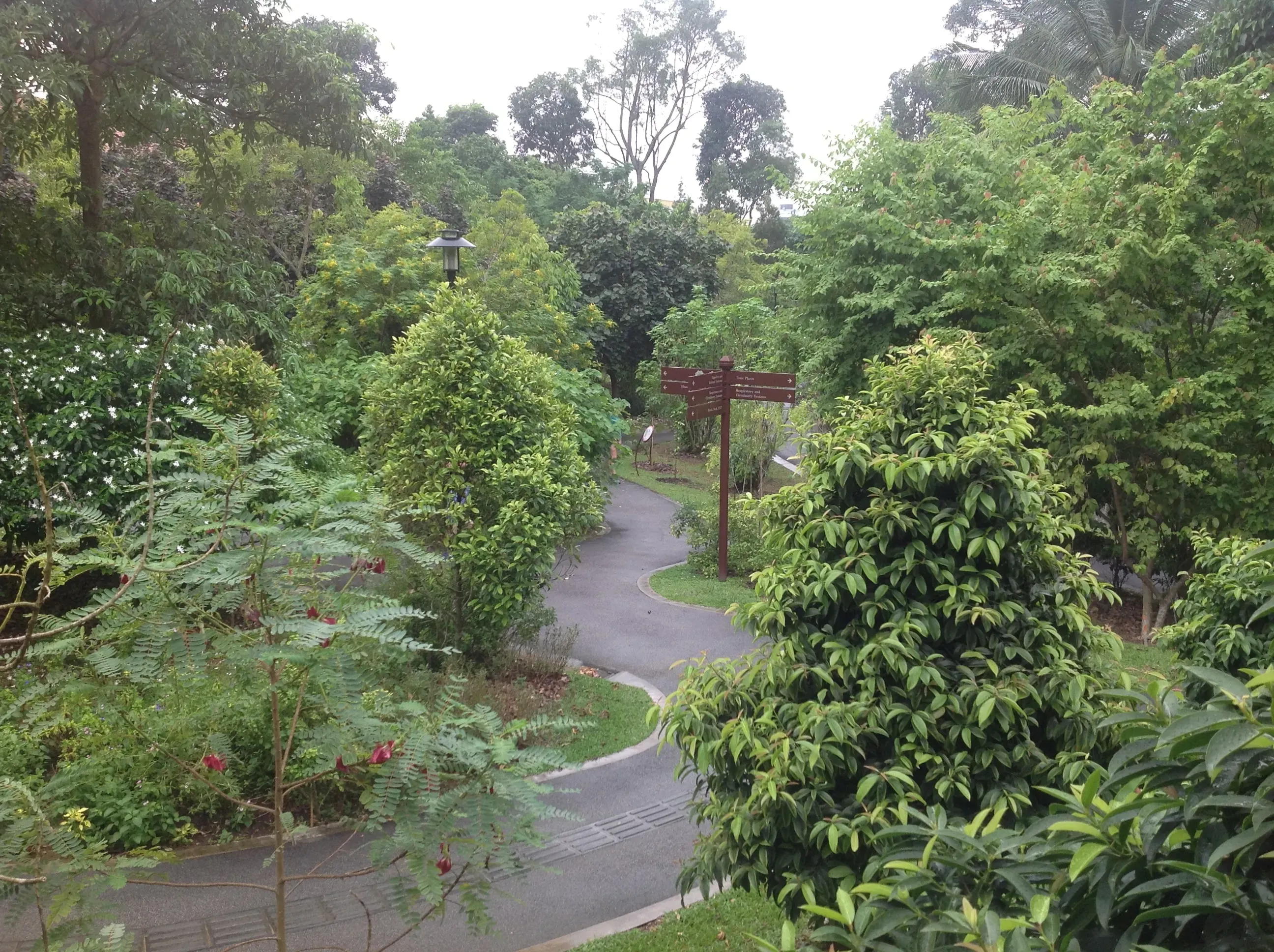 Healing Garden